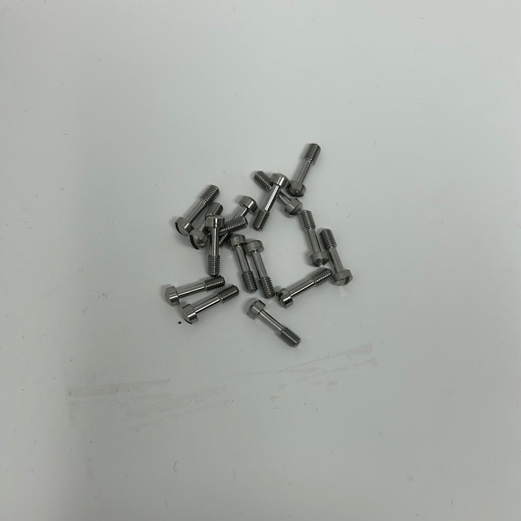 Lectrosonic Replacement Screws (12)